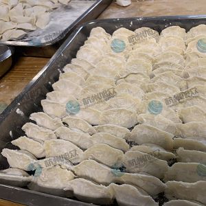 仿手工包餃子機(jī)大小均勻老客戶反饋！