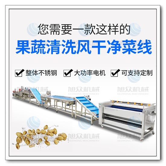 果蔬氣泡清洗機風(fēng)干流水線