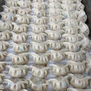 JGB-10型一體式餃子機(jī)現(xiàn)場(chǎng)試機(jī)，效果棒棒噠！！！！